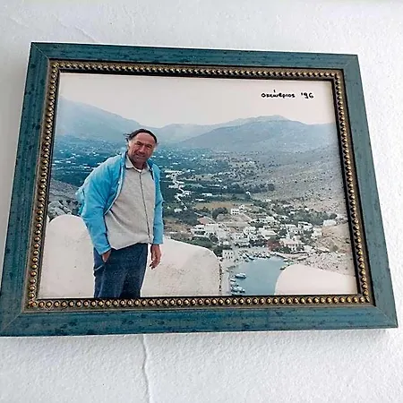 Manolis Vathys Hotel *
